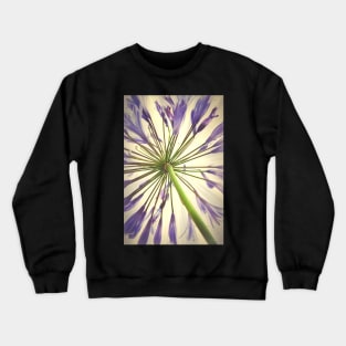 Radiant Agapanthus Crewneck Sweatshirt